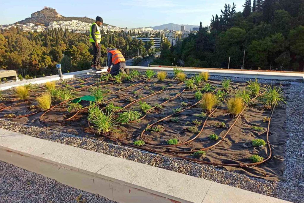 Kitantzis projects - Ardittou