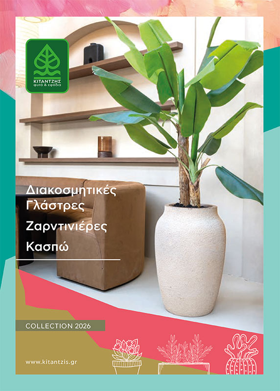 Kitantzis Fyta - Catalogue: Pots