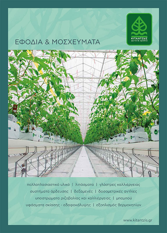 Kitantzis Fyta | Catalogue: Supplies & Saplings