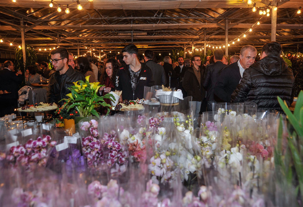 Kitantzis - Rooted together event