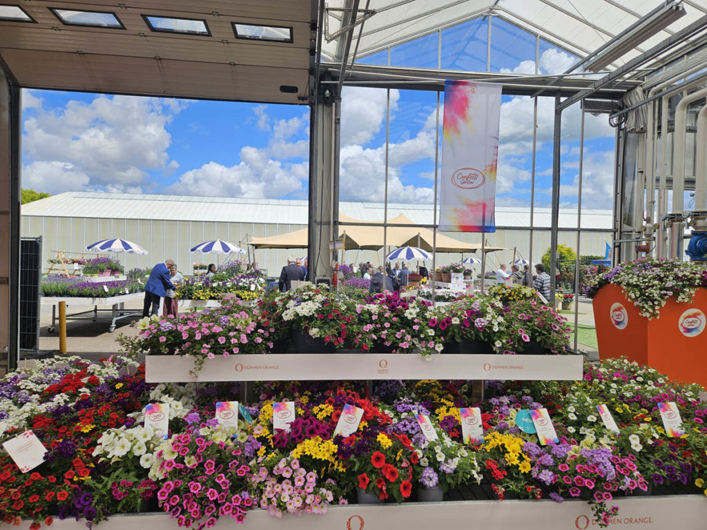 Flower Trials 2026, Netherlands
