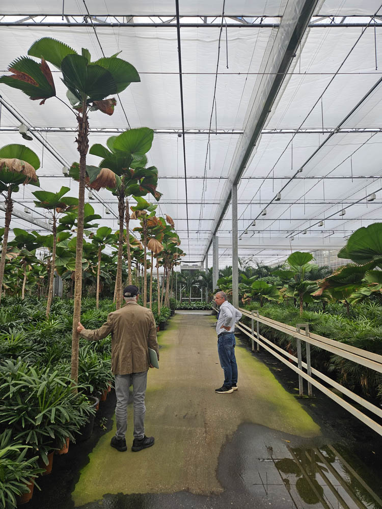 Flower Trials 2026, Netherlands
