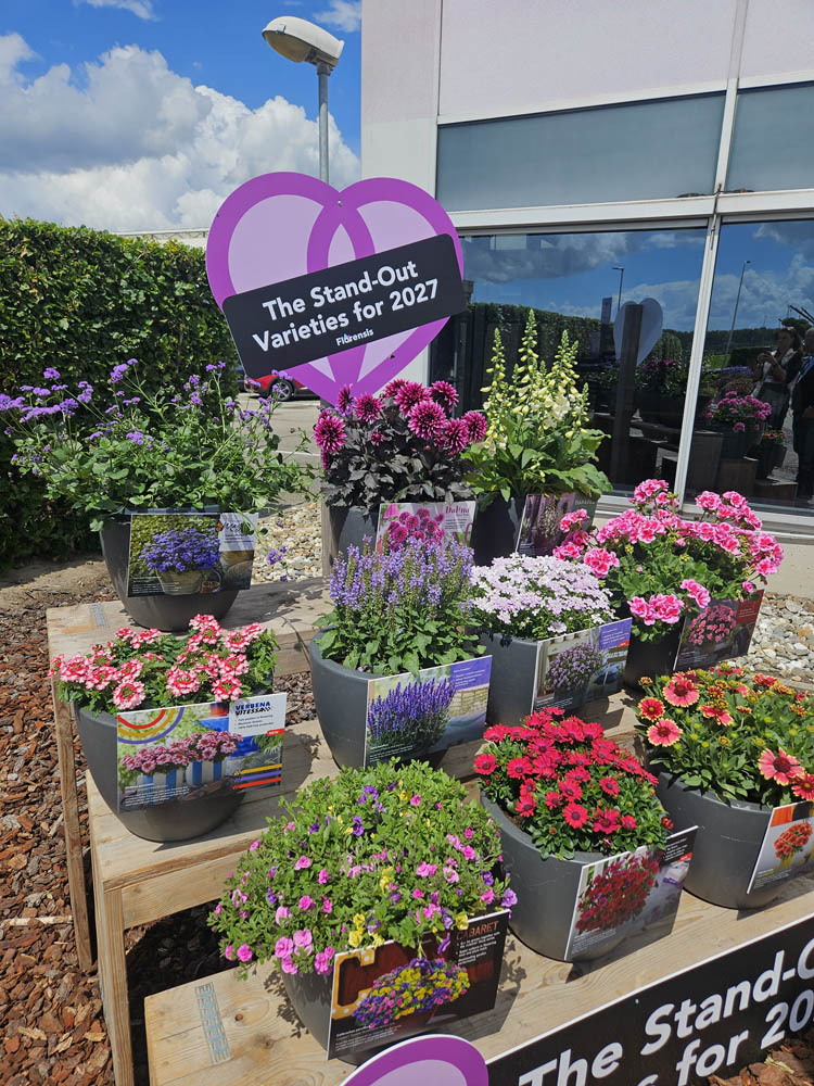 Flower Trials 2026, Netherlands