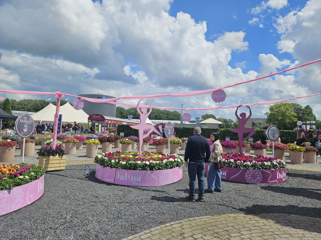 Flower Trials 2026, Netherlands