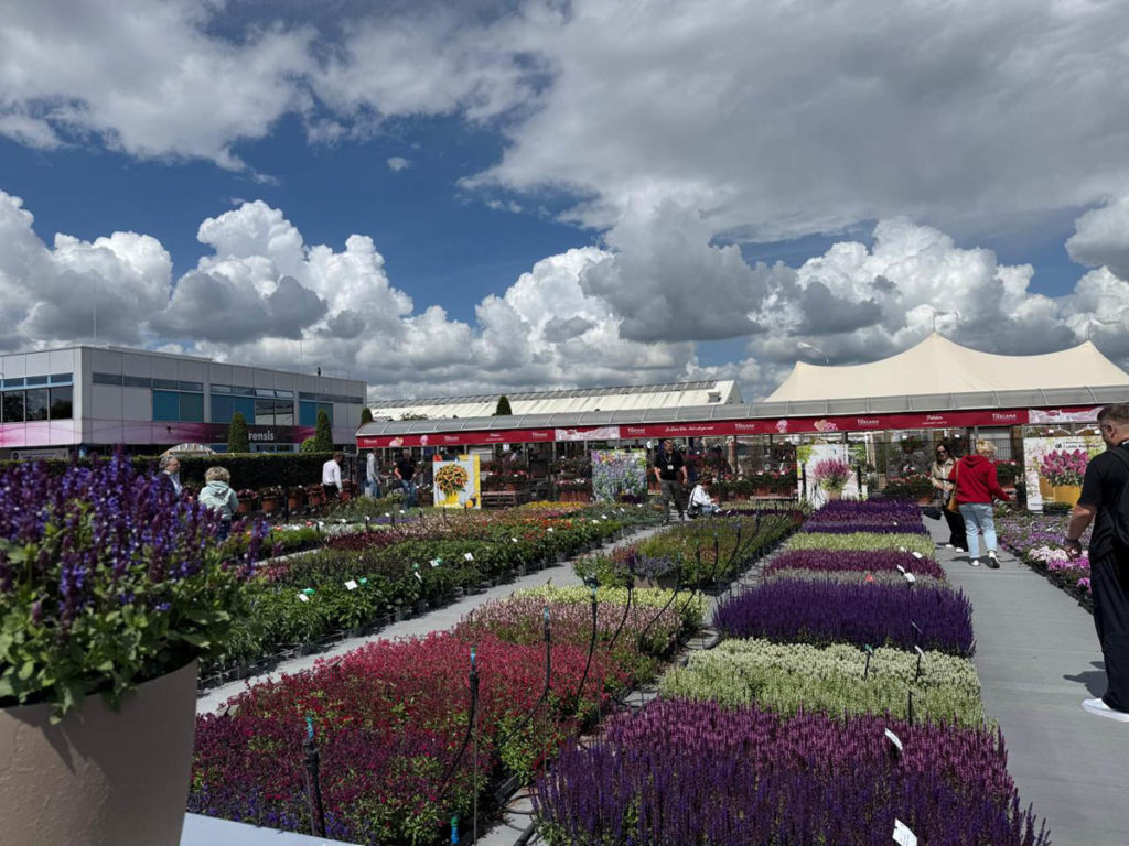 Flower Trials 2026, Netherlands