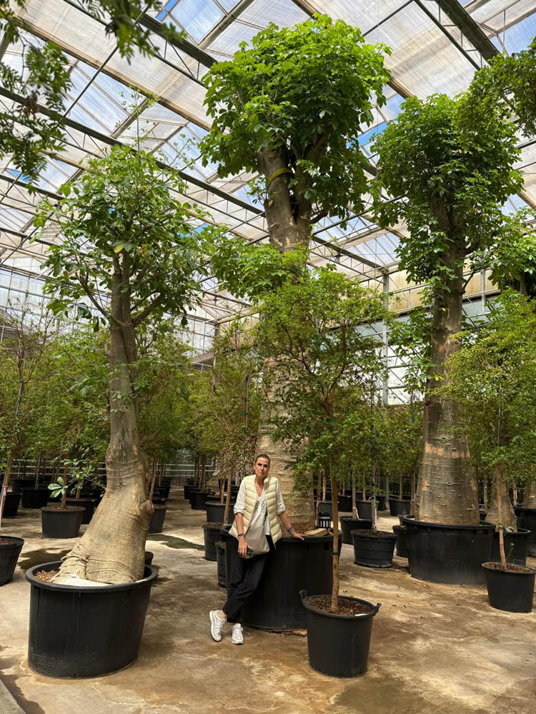 Flower Trials 2026, Netherlands