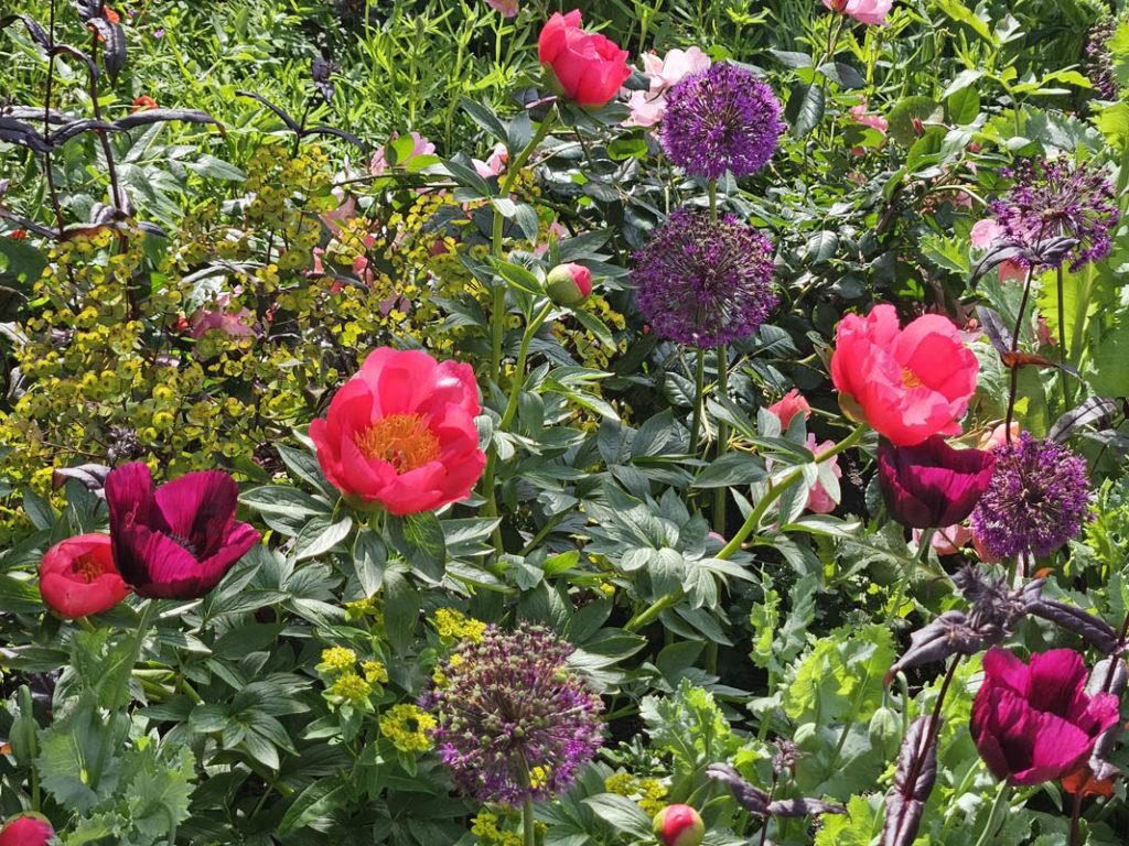 RHS Chelsea Flower Show 2026