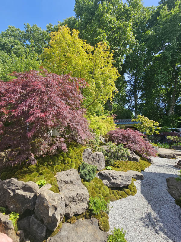 RHS Chelsea Flower Show 2026