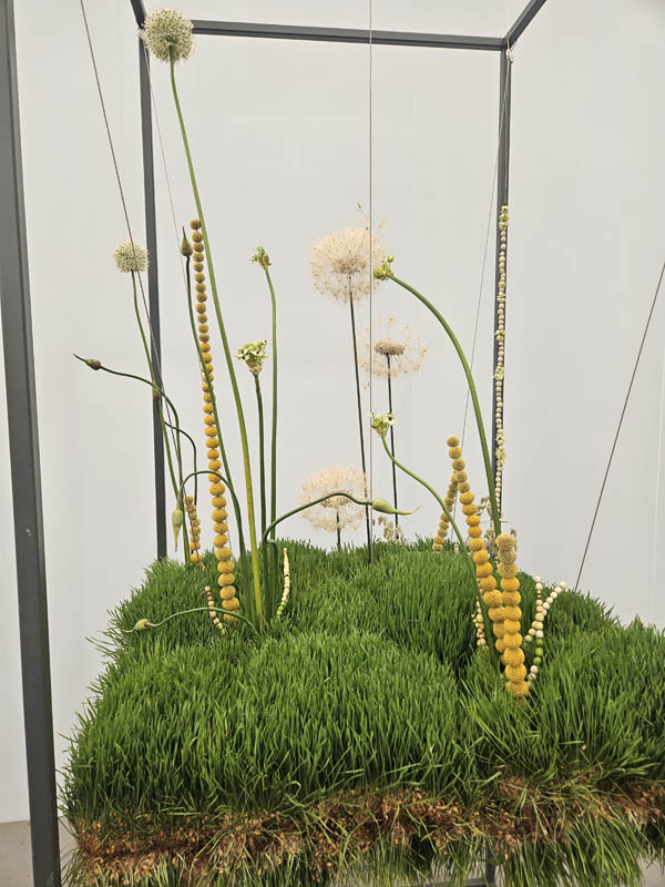 RHS Chelsea Flower Show 2026