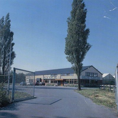 HELLAS-PLANTS-HOLLAND-1030x812-1024x807