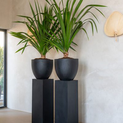 kitantzis-pots-DSC0036