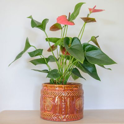 kitantzis-pots-aztec-koraal-11