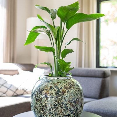 kitantzis-pots-mosaic-mirror-02