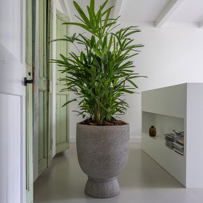 kitantzis-pots--p3128-68-97-2