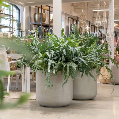 kitantzis-pots--r3024-60-90-3