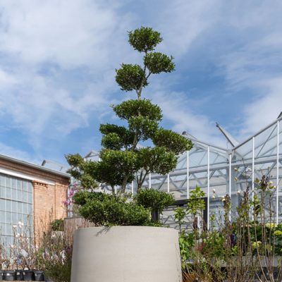 kitantzis-pots--r3026-77-90-6